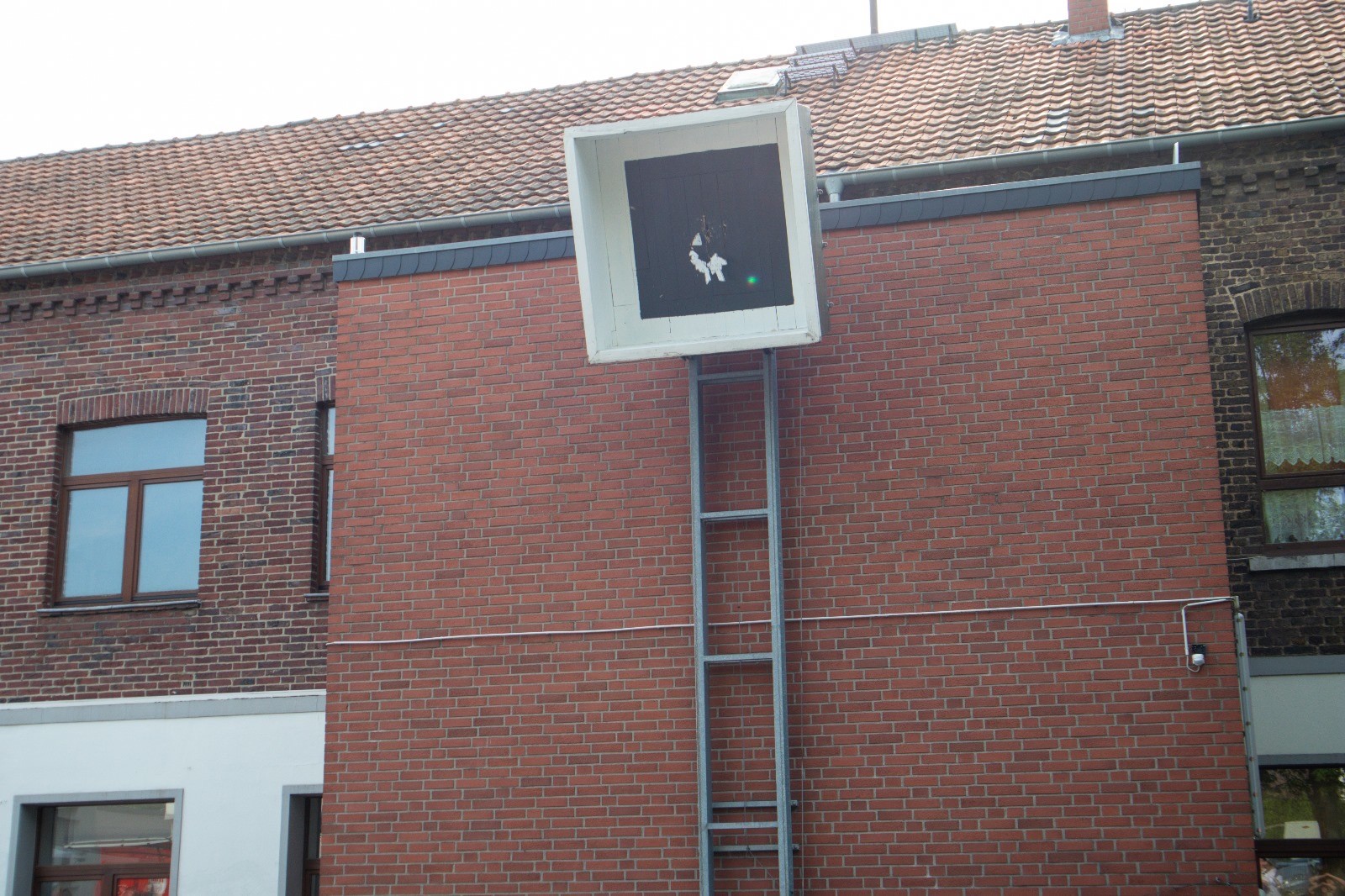 vogel faellt 2024